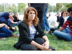 Dbp Diyarbakır İl Başkanı Zümrüt Açlık Grevine Başladı