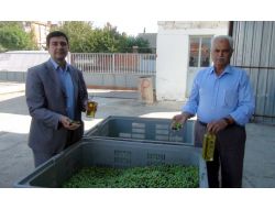 Havran Tariş’ten Hijyenik Yağ