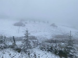 Ordu Yaylalarında Kar Güzelliği