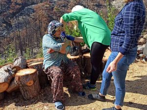 Konteynerde Yaşayan Yangınzedelere Sağlık Taraması