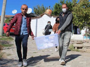 Küçük Kızın Bulduğu Fosil Müze Tarafından Alındı