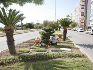 Antalya’da 3 Milyon Kışlık Çiçek Toprakla Buluşuyor