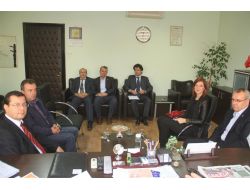 Orhangazi'de Zeytin Festivali
