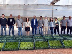 Öğretmen Okul İçin İstedi Tarsus Belediyesi 20 Bin Fide Gönderdi