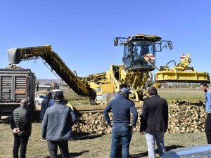 Bayburt’ta Bu Yıl Hedeflenen Şeker Pancarı Üretimi 72 Bin 500 Ton
