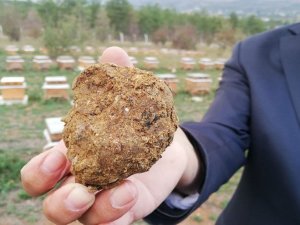 Korona Virüs Sonrası Talep Arttı, Litresi 2 Bin Lira