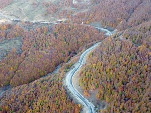 Yozgat Ormanlarında Renk Cümbüşü Havadan Görüntülendi