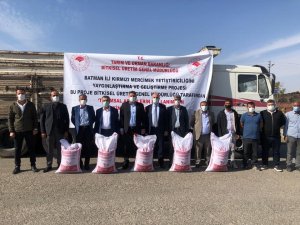 Gercüş’te Çiftçilere Mercimek Tohumu Dağıtıldı