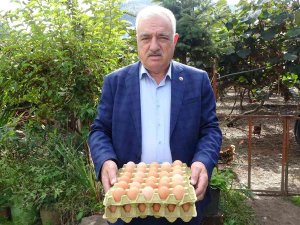 Uzunlar’dan ’Yumurta Fiyatı’ Açıklaması
