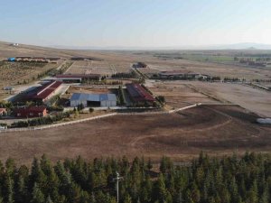 Mahmudiyeli Atçılar İdman Merkezinin Aktif Hale Getirilmesini İstiyor