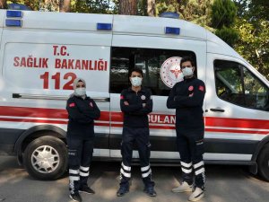 112 Personeli Masaj Ve Oksijen Tedavisiyle 20 Kedinin Hayatını Kurtardı