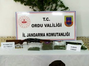 Ordu’da Uyuşturucu Operasyonu: 2 Gözaltı