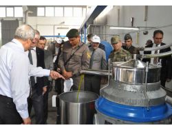 Edremit'te Zeytin Hasadını Kaymakam Başlattı