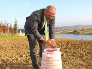 300 Çiftçiye 30 Ton Tohum Desteği