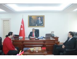 Kadınlar Türkiye Kupası Ele Maçlarına Yalova Ev Sahipliği Yapacak