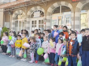 Sokak Hayvanları İçin Bir Araya Geldiler