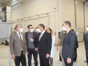 Siirt Fıstığı Dünya Pazarında Yerini Aldı