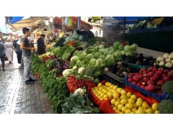 Yeşil Sebzeler Şifa Deposu