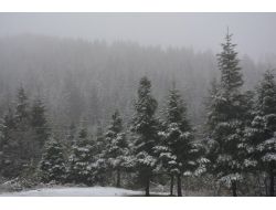 Ordu'ya Yılın İlk Karı Düştü