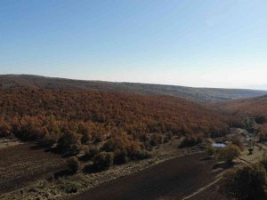Bozdağ’dan Eşsiz Sonbahar Görüntüleri