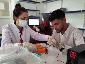 Şanlıurfa’dan Abd’ye 10 Milyon Dolarlık Zehir İhracatı