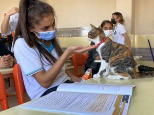 Bu Okulda Çocuklara Hayvan Sevgisi Aşılanıyor