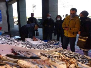 Kilosu 10 Tl’ye Kadar Düştü, Tuzlama Zamanı Geldi