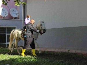 Selin Yaşandığı Türkeli’de Öğrencilere Etnospor Motivasyonu