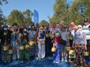 Ayvalık’ta Zeytin Festivali Kapsamında İlk Hasat