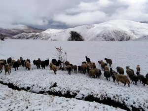 Yüksekova’da Kar 5 Santimi Buldu