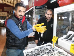 Kahramanmaraş’ta Tezgahlarda Balık Bolluğu