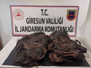 Giresun’da Kablo Hırsızlığından 2 Kişi Tutuklandı