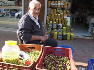 Burhaniye’de Yeşil Zeytin Alımına Başlandı, Üretici Fiyatlardan Memnun
