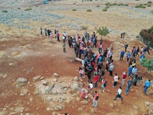 Hatay’da Dağ Ceylanlarına Ayda İki Bin Ziyaretçi