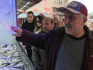 Hamsinin 5 Liradan Satıldığını Duyanlar Balıkçıya Akın Etti