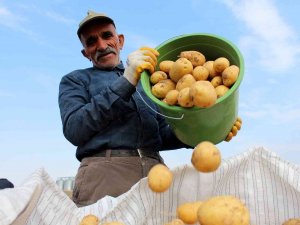 Hasatta Son Günler, Tarlada 2 Markette 5 Lira