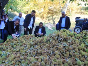 Kestanede Sezon Finalini Kaymakam Yaptı