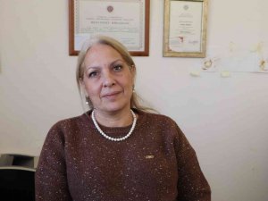 İ̇şte Pitbull Gerçeği: Asıl Sorun ‘Sahibinde’