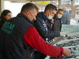 Van’da Su Ürünleri Denetimi