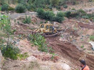 Bozyazı’da Orman Arazisi İşgaline Müsaade Edilmedi