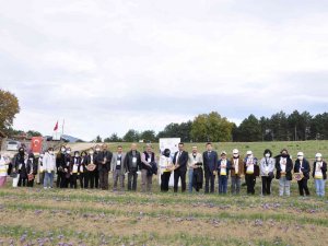 "Dünyanın En Pahalı Baharatı" Geleceğe Taşınıyor