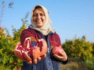 Halka Arzlar Artıyor, Bir Şirket Daha Borsada İşlem Görecek