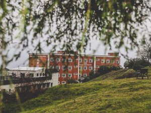 Subü, 29 Akademik Personel Alacak