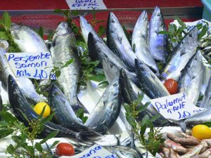 Ordu’da Palamut 40 Lira