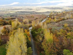 Sonbahardan Kışa Geçişte Renk Cümbüşü Oluşturan Ağaçlar Farklı Güzelliğe Büründü