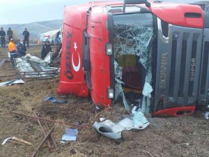 Tır Şarampole Devrildi, 7 Hayvan Telef Oldu