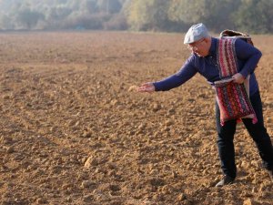 Menteşe’de 1 Ton Karakılçık Buğdayı Toprakla Buluştu