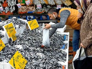 Hamsinin Kilosu 10 Tl’ye Düştü, Vatandaşlar Kilolarca Aldı