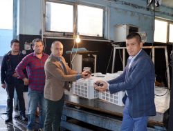 Marmarabirlik Zeytin Alımına Başladı