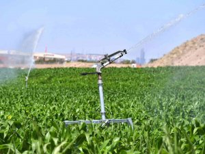 Kırsal Kalkınma Hamlesinde Yeni Dönem: Bakap Projesi İlk Meyvelerini Veriyor